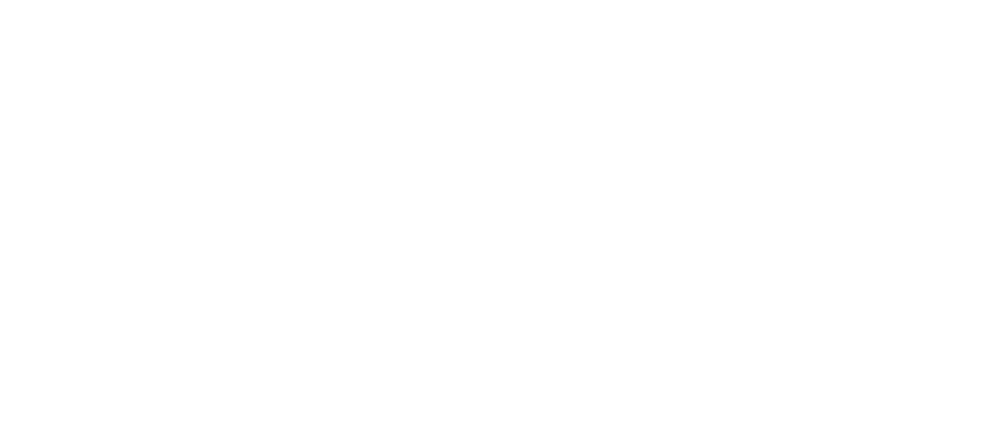 Iranian American Women Foundation