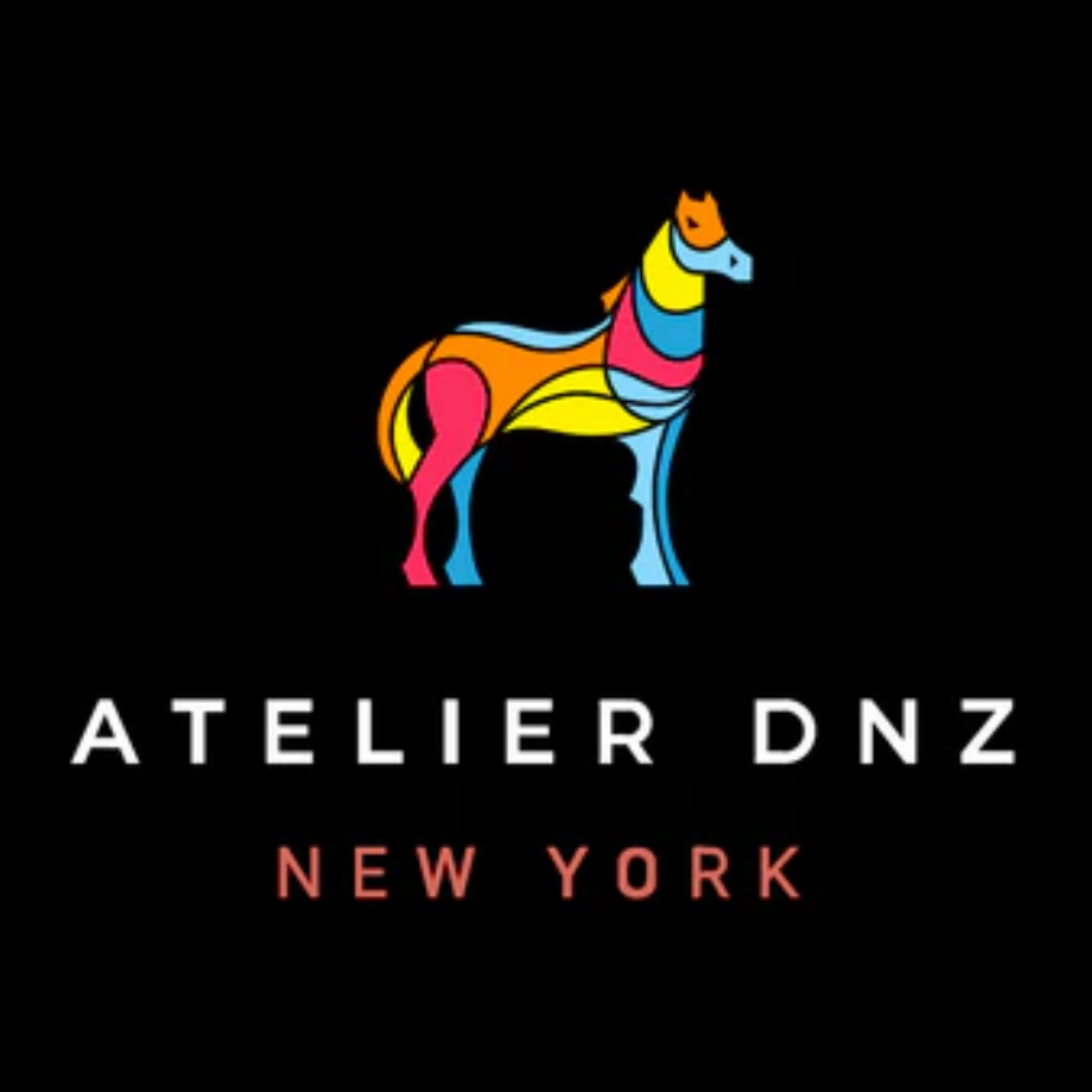 Donyanaz Nazem, Atelier DNZ