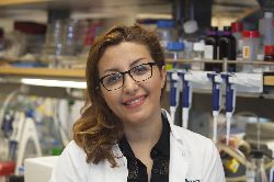 Sharareh Gholamin