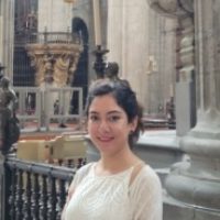 Parisa Babaeizadeh